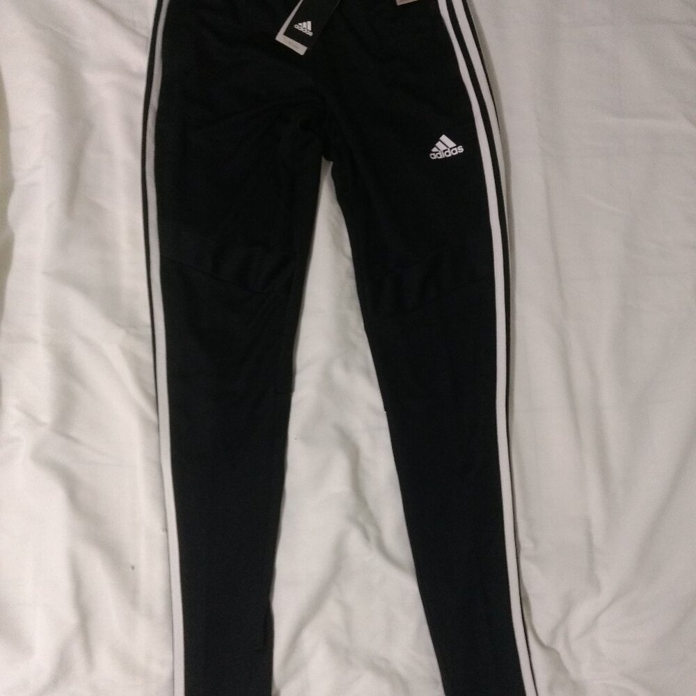 Adidas Tiro19 Track Pant